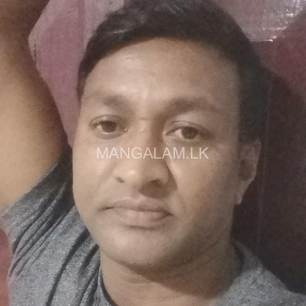 Anura